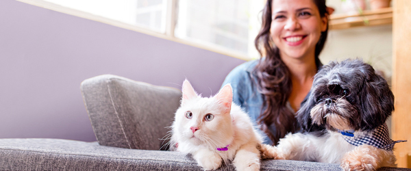 Woman sitting on couch with a white cat and black and white dog